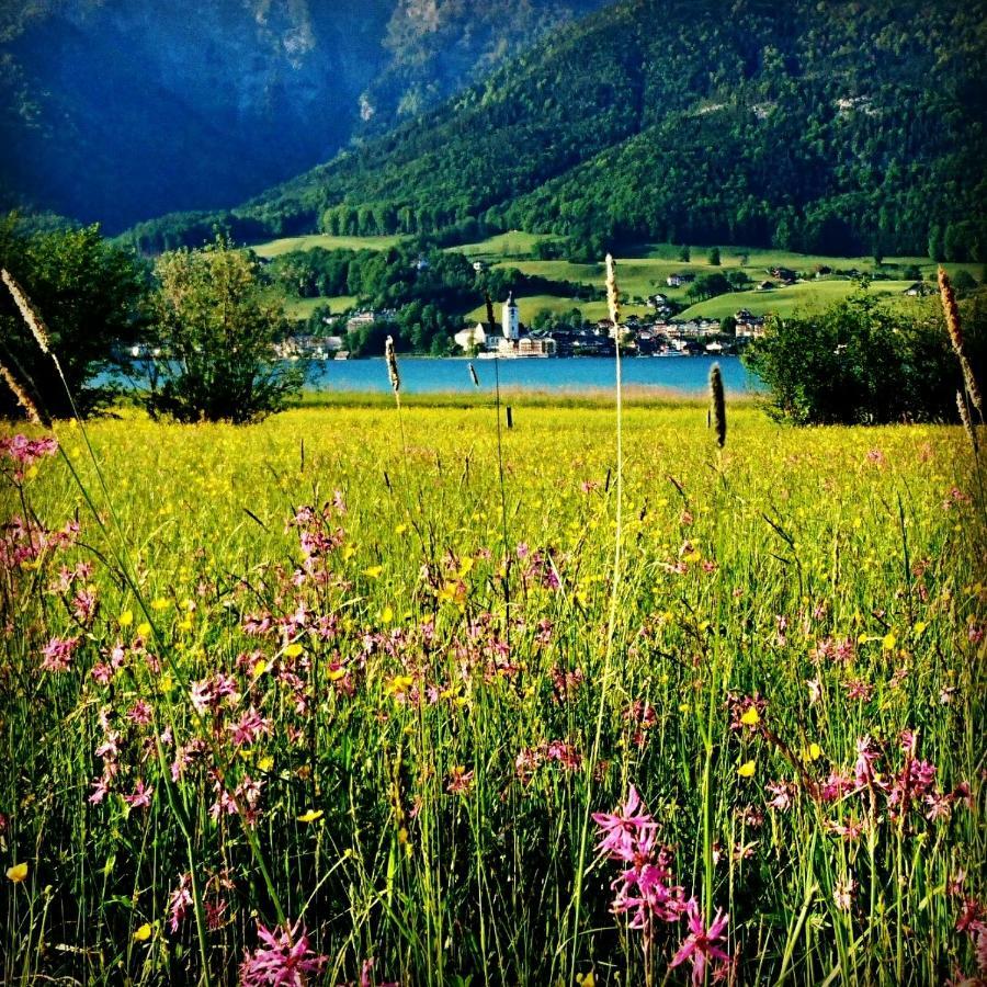 Fumerhof شتروبل المظهر الخارجي الصورة
