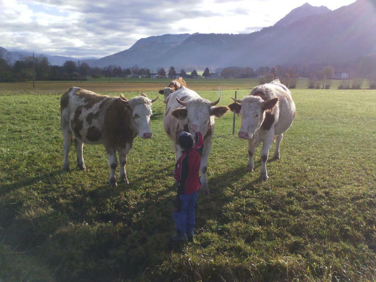Fumerhof شتروبل المظهر الخارجي الصورة