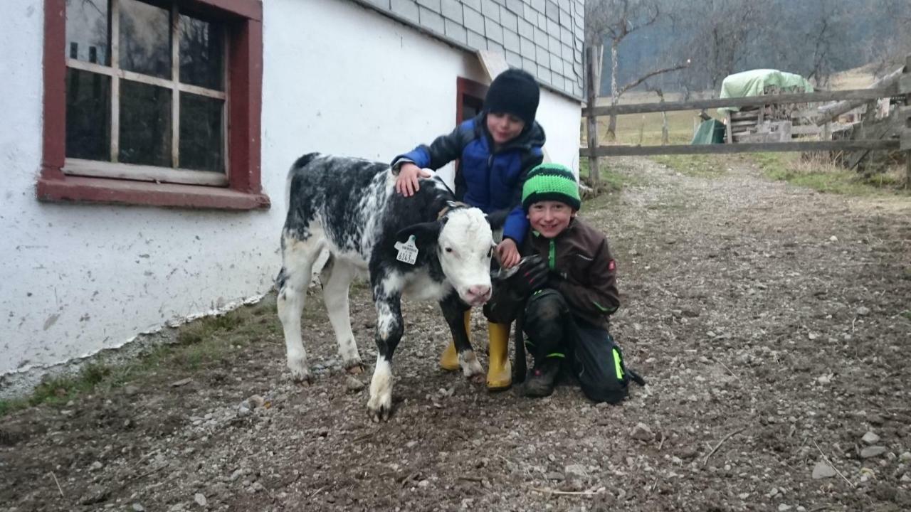 Fumerhof شتروبل المظهر الخارجي الصورة