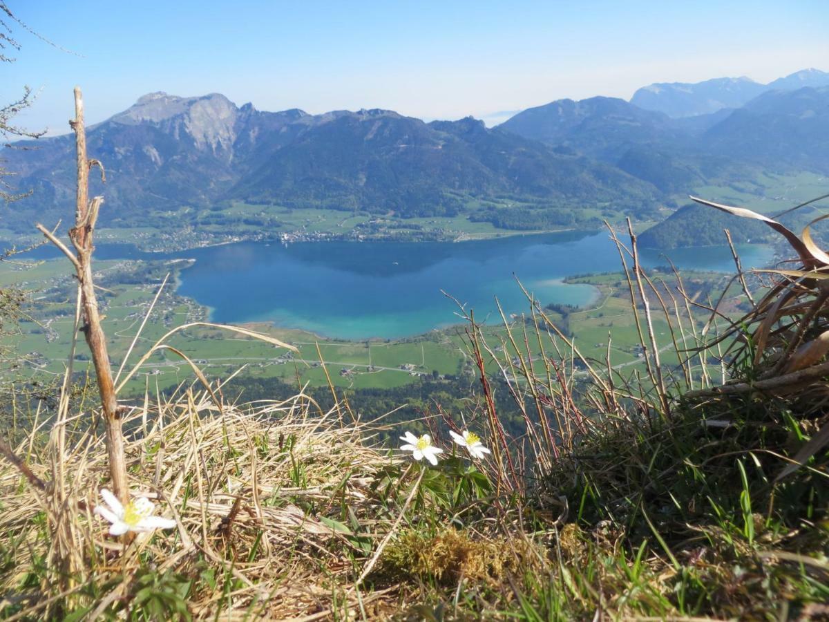Fumerhof شتروبل المظهر الخارجي الصورة