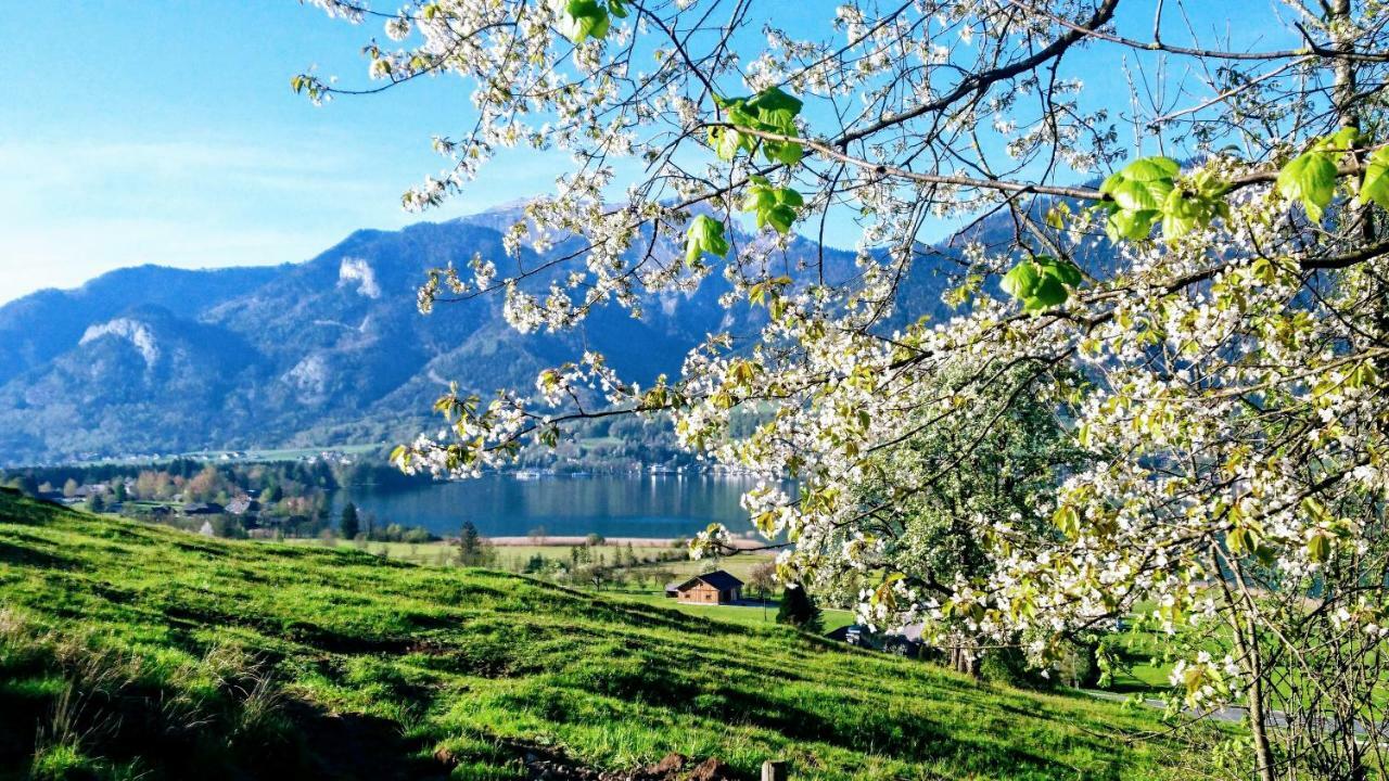 Fumerhof شتروبل المظهر الخارجي الصورة